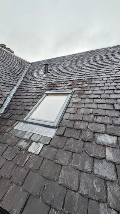 IMG_5317.jpeg IMG_5317.jpeg