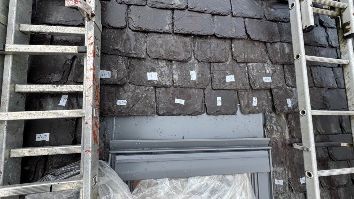 IMG_5299.jpeg IMG_5299.jpeg