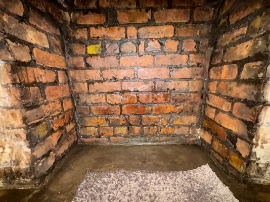 IMG_4829.jpeg IMG_4829.jpeg