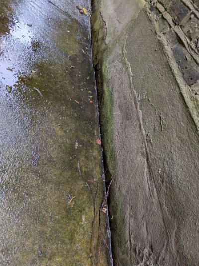 PXL_20251207_100512211.jpg PXL_20251207_100512211.jpg