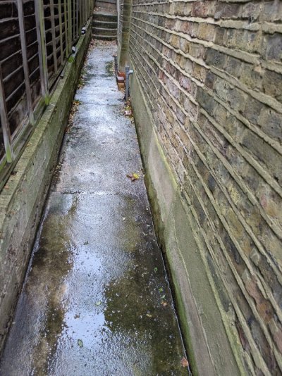 PXL_20251207_100515925.jpg PXL_20251207_100515925.jpg