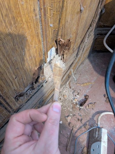 PXL_20251210_110724842.jpg PXL_20251210_110724842.jpg