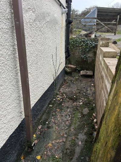 IMG_3459.jpeg IMG_3459.jpeg