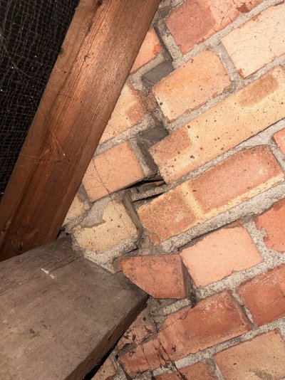 IMG_3930.jpeg IMG_3930.jpeg