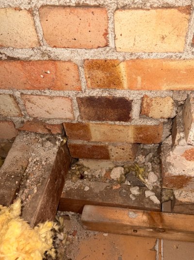 IMG_3952.jpeg IMG_3952.jpeg