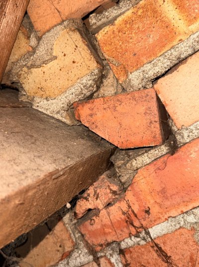 IMG_3950.jpeg IMG_3950.jpeg