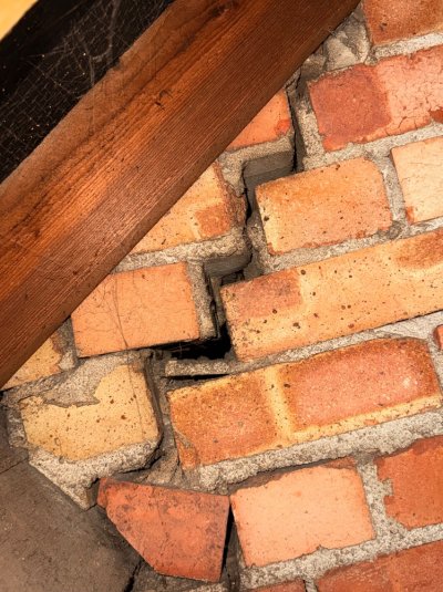 IMG_3942.jpeg IMG_3942.jpeg