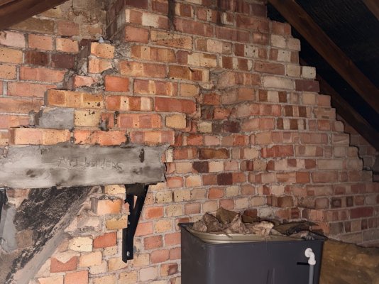 IMG_3973.jpeg IMG_3973.jpeg