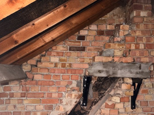 IMG_3972.jpeg IMG_3972.jpeg