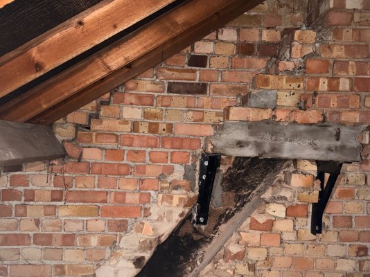 IMG_3971.jpeg IMG_3971.jpeg