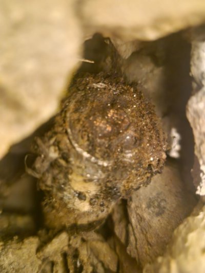 20251213_214919.jpg 20251213_214919.jpg