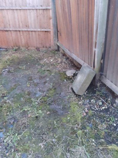 IMG_20231027_173941.jpg IMG_20231027_173941.jpg