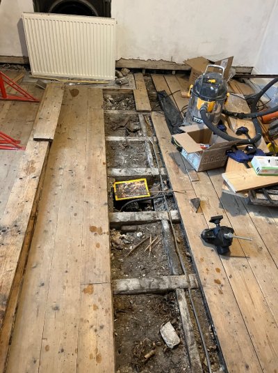 IMG_4297.jpeg IMG_4297.jpeg