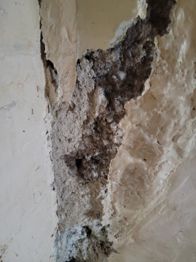 WhatsApp Image 2025-12-17 at 10.50.20_8088a338.jpg WhatsApp Image 2025-12-17 at 10.50.20_8088a338.jpg