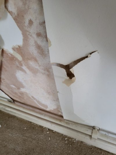 Wallpaper & Plaster.jpeg