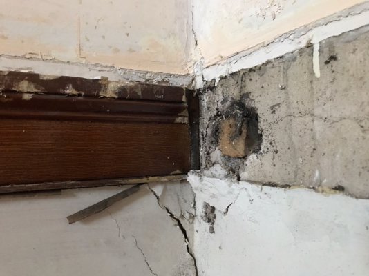 FAF0D78A-638F-4FA1-B0F3-9D6937CF146E.jpeg FAF0D78A-638F-4FA1-B0F3-9D6937CF146E.jpeg