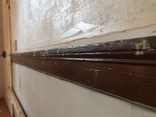 4DF953F8-C978-451D-AF26-4861C4C908BC.jpeg 4DF953F8-C978-451D-AF26-4861C4C908BC.jpeg