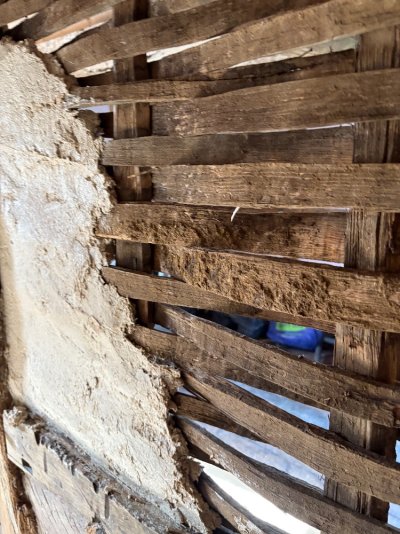 IMG_9630.jpeg IMG_9630.jpeg