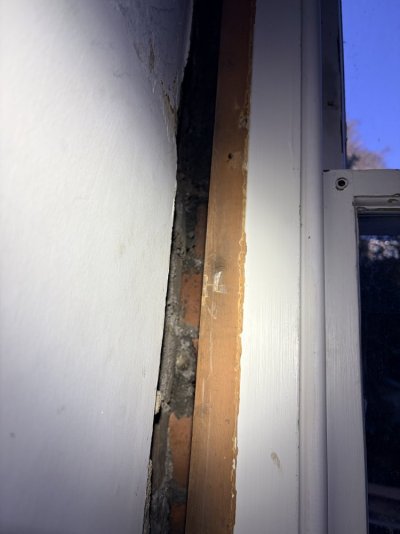 IMG_5027.jpeg IMG_5027.jpeg