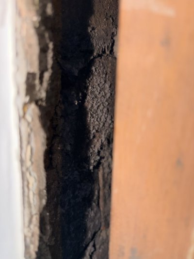 IMG_5031.jpeg IMG_5031.jpeg