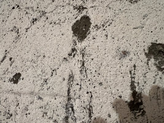 IMG_1983.jpeg IMG_1983.jpeg