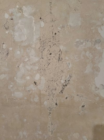 IMG_1975.jpeg IMG_1975.jpeg