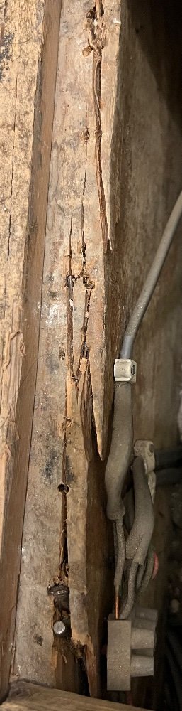 IMG_2008.jpeg IMG_2008.jpeg