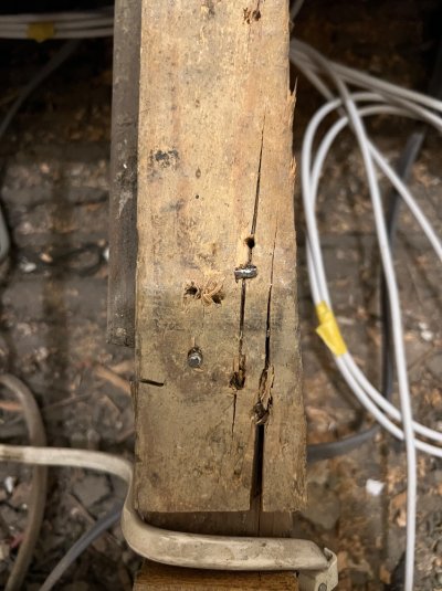 IMG_2007.jpeg IMG_2007.jpeg