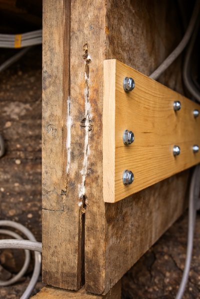 IMG_2016.jpeg IMG_2016.jpeg