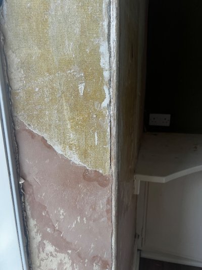 IMG_1231.jpeg IMG_1231.jpeg