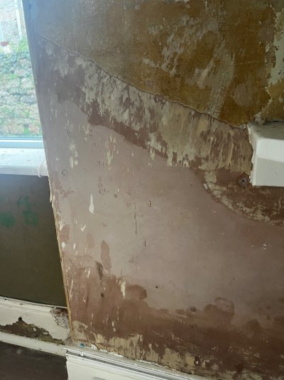 IMG_1230.jpeg IMG_1230.jpeg