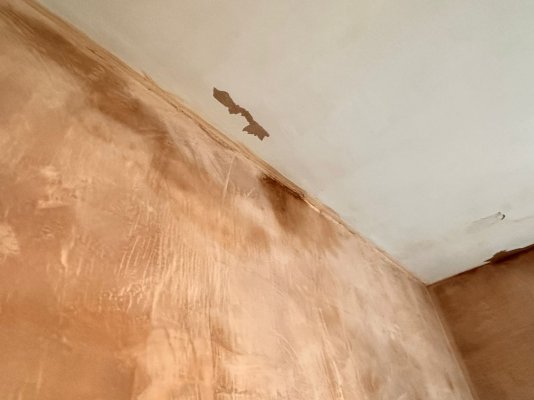 WhatsApp Image 2026-01-14 at 17.42.46.jpeg