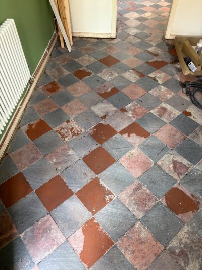 IMG_2372.jpeg IMG_2372.jpeg