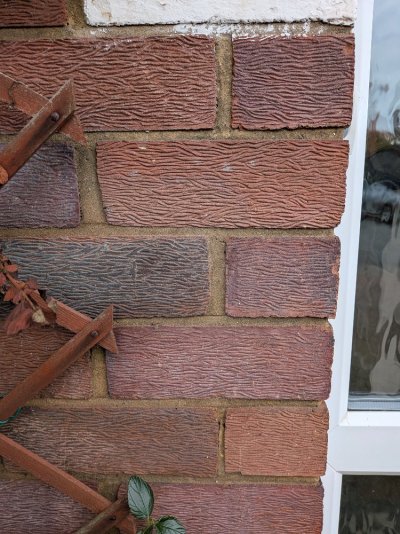 PXL_20251116_135902222.jpg PXL_20251116_135902222.jpg