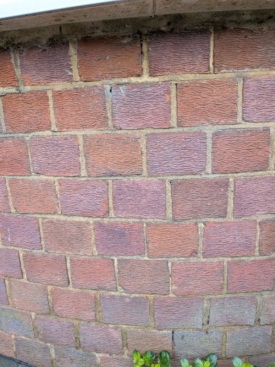 PXL_20251116_135854191.jpg PXL_20251116_135854191.jpg