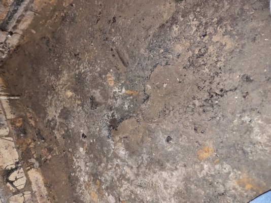 20260215_160823.jpg 20260215_160823.jpg