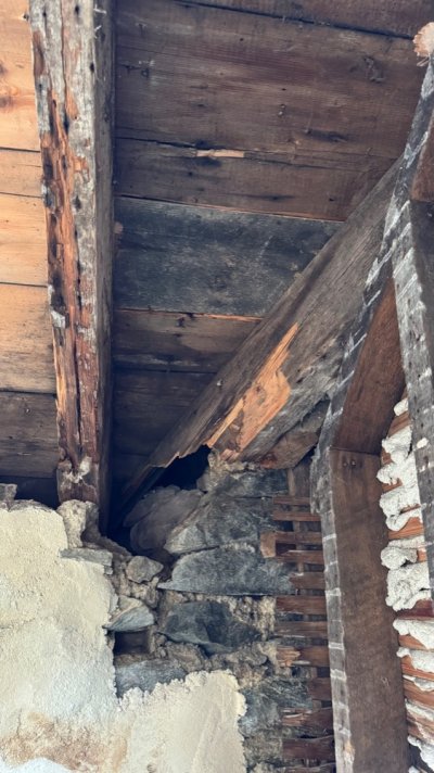 IMG_6321.jpg IMG_6321.jpg