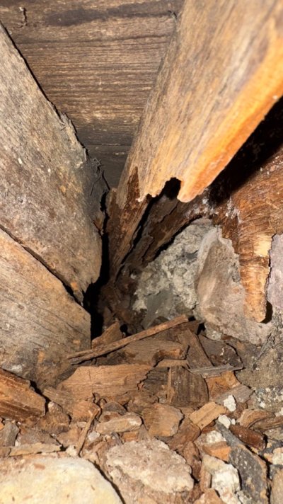 IMG_6315.jpg IMG_6315.jpg