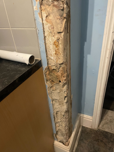 1771361980814.png 1771361980814.png