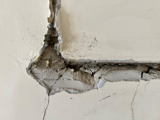 IMG_5302.jpeg IMG_5302.jpeg