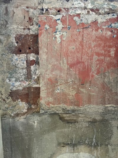 IMG_5318.jpeg IMG_5318.jpeg