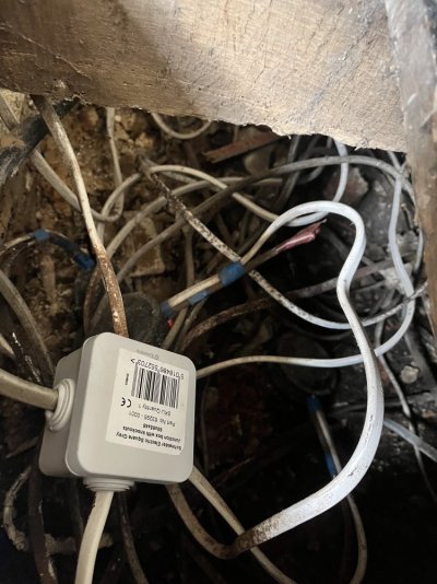 IMG_1412.jpeg IMG_1412.jpeg