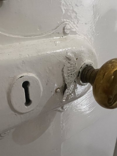 IMG_8868.jpeg IMG_8868.jpeg