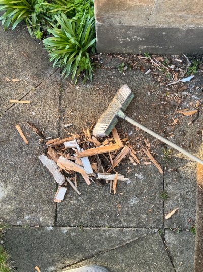 IMG_6335.jpeg IMG_6335.jpeg