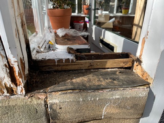 IMG_6330.jpeg IMG_6330.jpeg