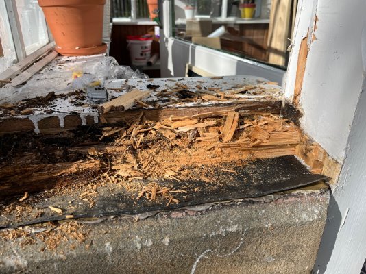 IMG_6329.jpeg IMG_6329.jpeg