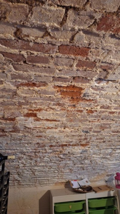 1000018183.jpg 1000018183.jpg