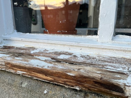 IMG_6345.jpeg IMG_6345.jpeg