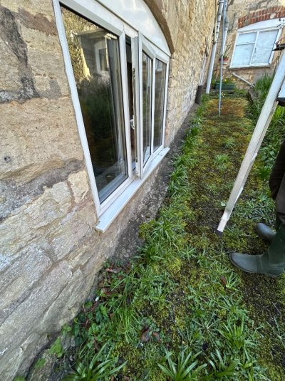 IMG_8590.jpeg IMG_8590.jpeg