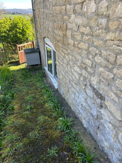 IMG_8591.jpeg IMG_8591.jpeg